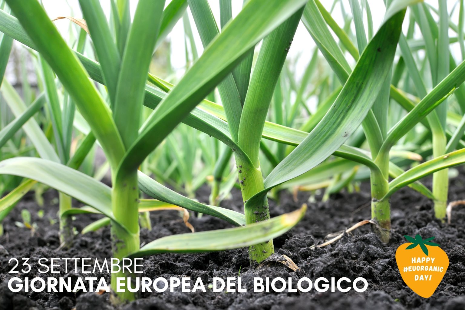 GIORNATA EUROPEA DEL BIOLOGICO 2