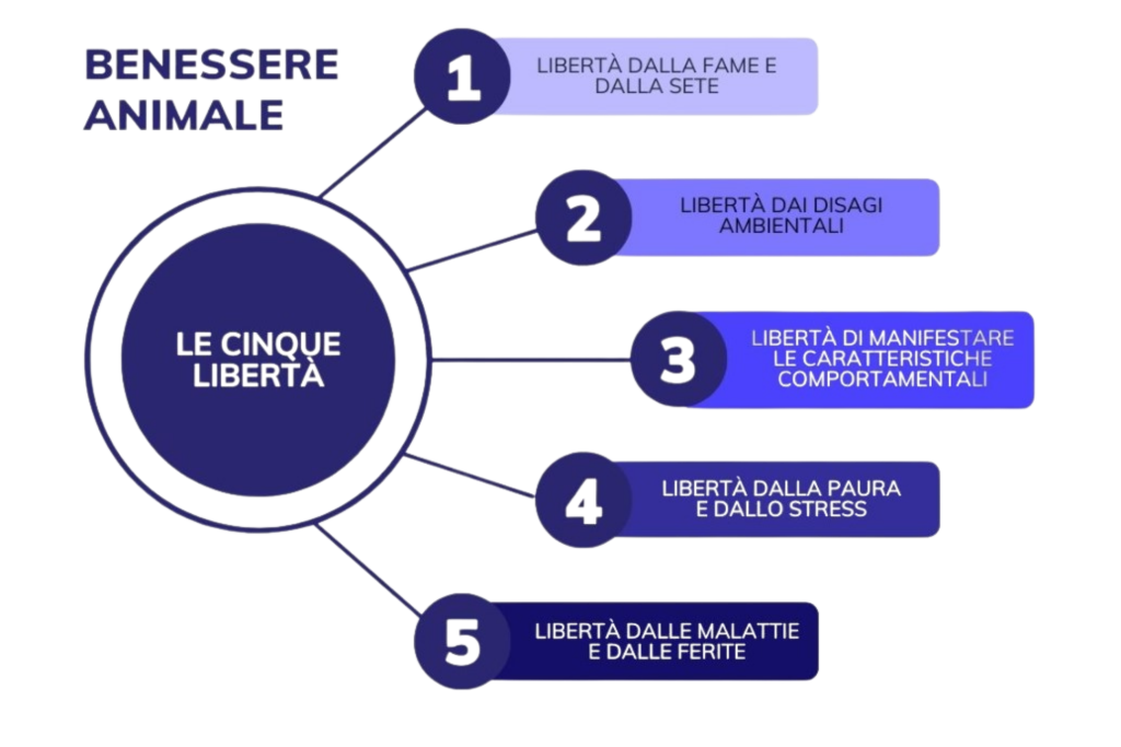 Allevamento etico: lo standard bio di Salumificio Pedrazzoli schema cinque liberta del benessere animale