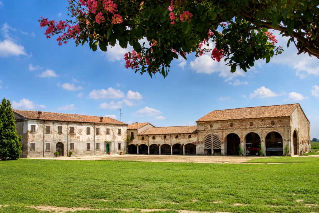 azienda agricola biologica biodinamica