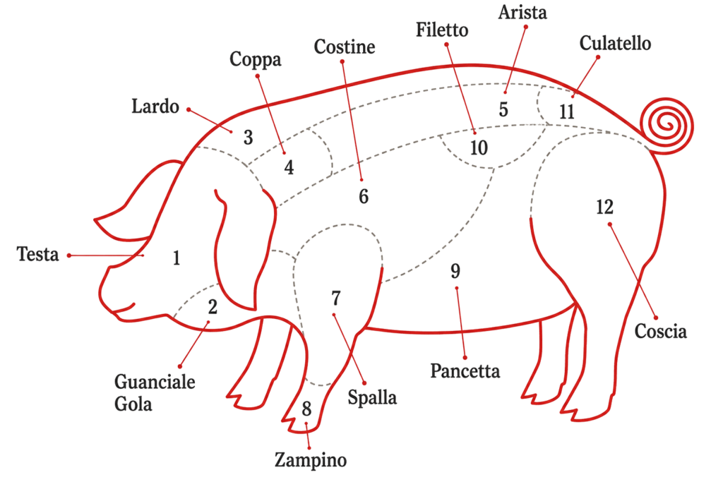 Prosciutto crudo, culatello, culaccia e fiocco: quali sono le differenze? schema tagli di carni di maiale quali sono e utiizzo